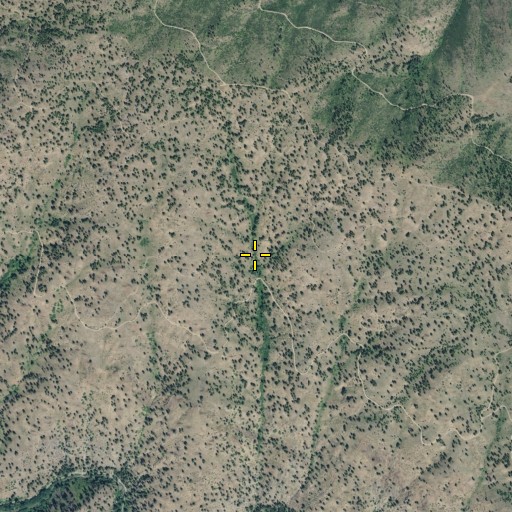 Aerial/Satellite Image of Tyee Ridge Spring Number 8, WA