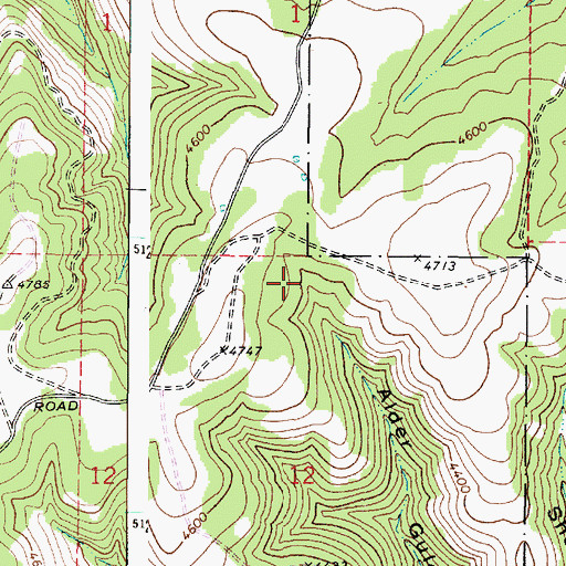 Topographic Map of Alder Spring, WA