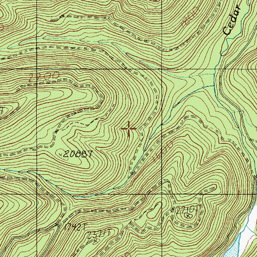 Topographic Map of Olympic National Forest, WA