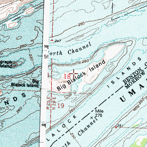 Topographic Map of Blalock Island (historical), WA