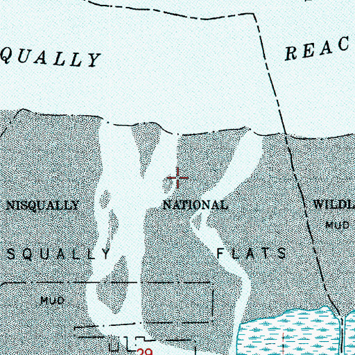 Topographic Map of Nisqually River, WA