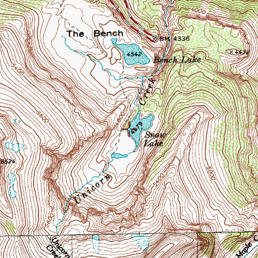 Topographic Map of Snow Lake, WA