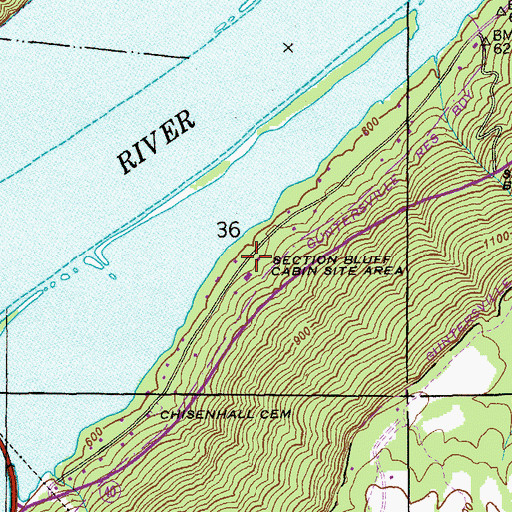 Topographic Map of Section Bluff Cabin Site Area, AL