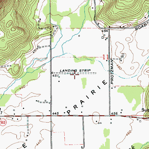 Topographic Map of Walter Sutton's Private Strip, WA