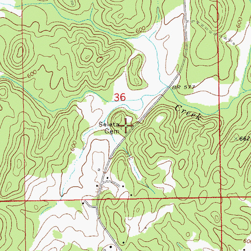 Topographic Map of Seleta Cemetery, AL