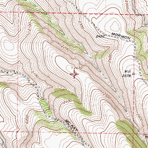 Topographic Map of Darcy's Air Strip, WA