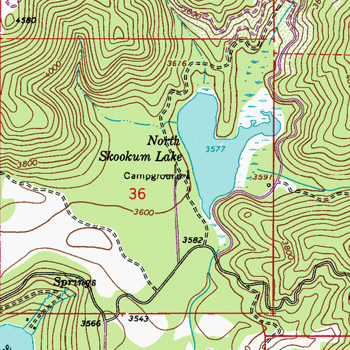 Topographic Map of North Skookum Campground, WA