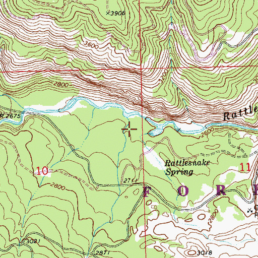 Topographic Map of Rattlesnake Guard Station, WA