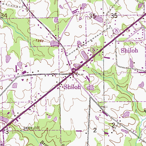 Topographic Map of Shiloh, AL
