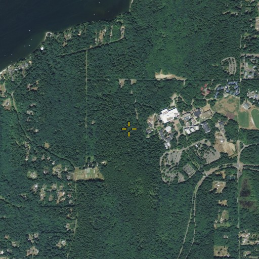 Aerial/Satellite Image of KAOS-FM (Olympia), WA