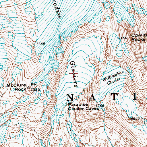Topographic Map of Paradise Glacier, WA