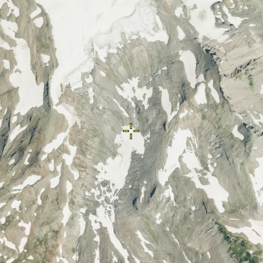 Aerial/Satellite Image of Paradise Glacier, WA