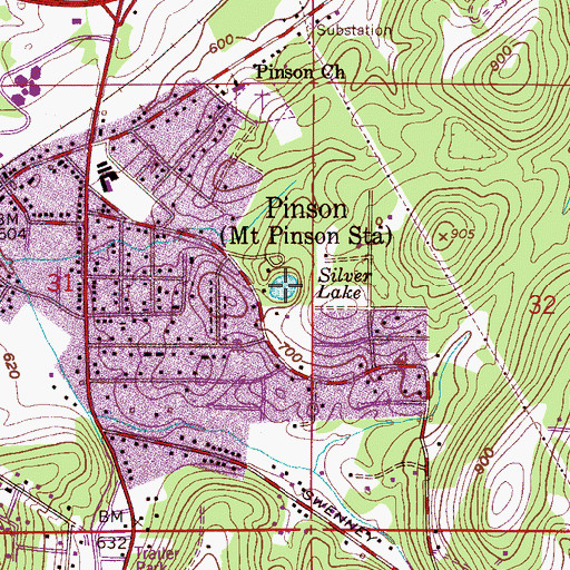 Topographic Map of Silver Lake, AL