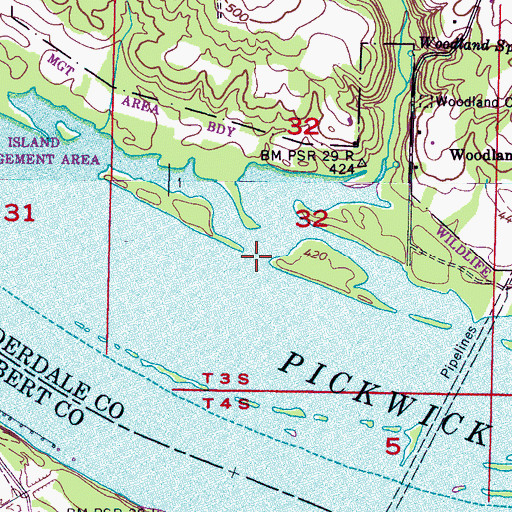 Topographic Map of Sinking Creek, AL