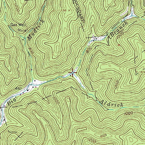 Topographic Map of Aldrich Branch, WV