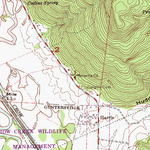 Topographic Map of Smyrna Church, AL