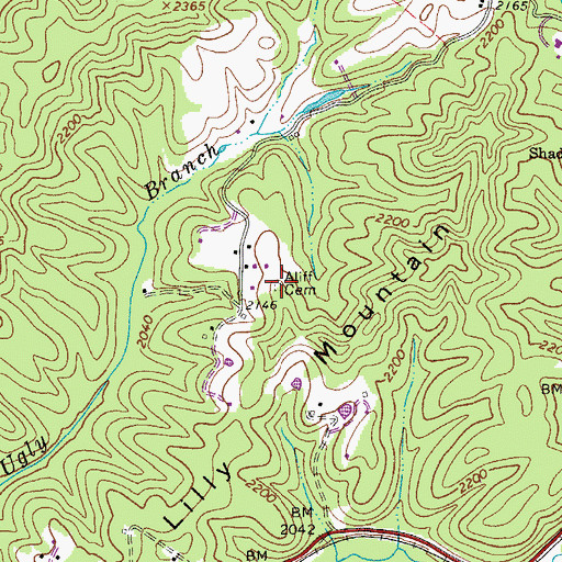 Topographic Map of Aliff Cemetery, WV