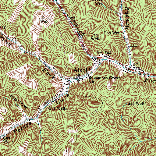 Topographic Map of Alkol, WV
