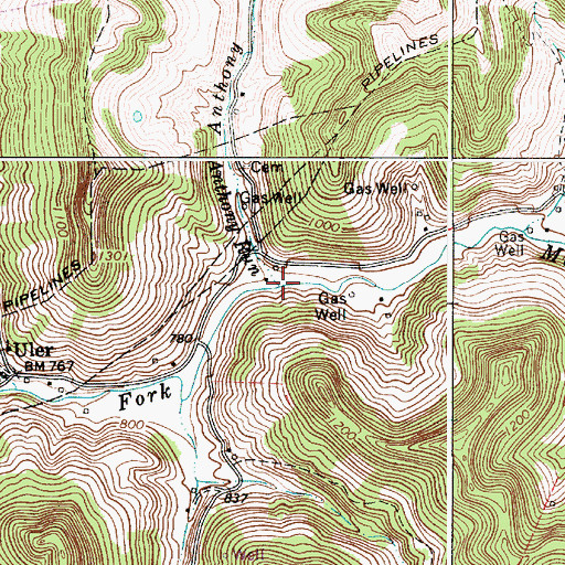 Topographic Map of Anthony Run, WV
