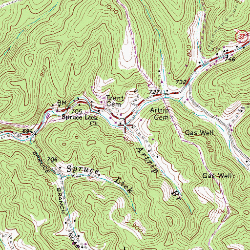 Topographic Map of Artrip Branch, WV