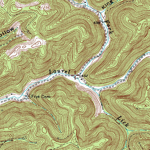Topographic Map of Back Fork, WV