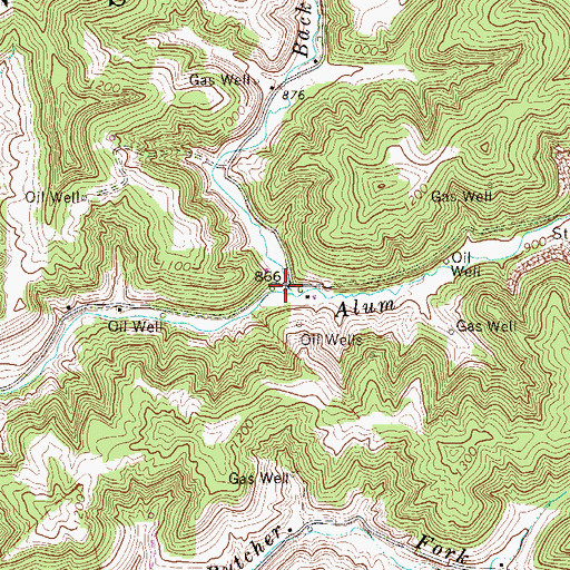 Topographic Map of Back Fork, WV