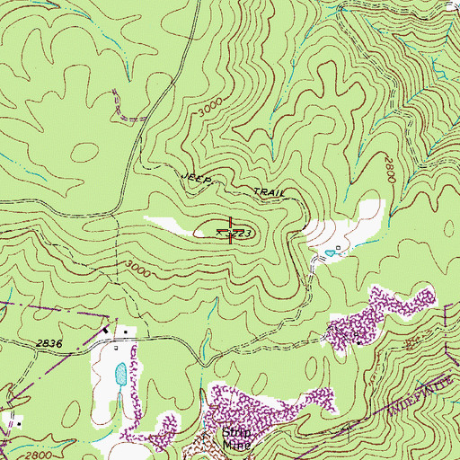 Topographic Map of Backus Mountain, WV