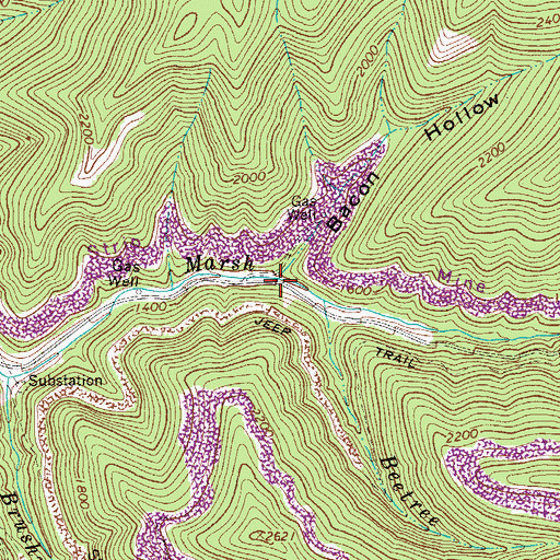 Topographic Map of Bacon Hollow, WV