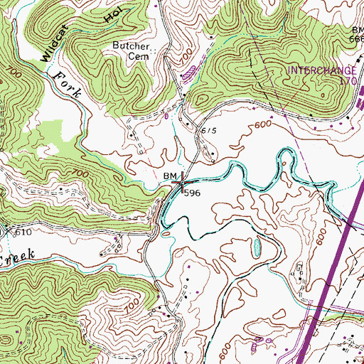 Topographic Map of Badgley Fork, WV