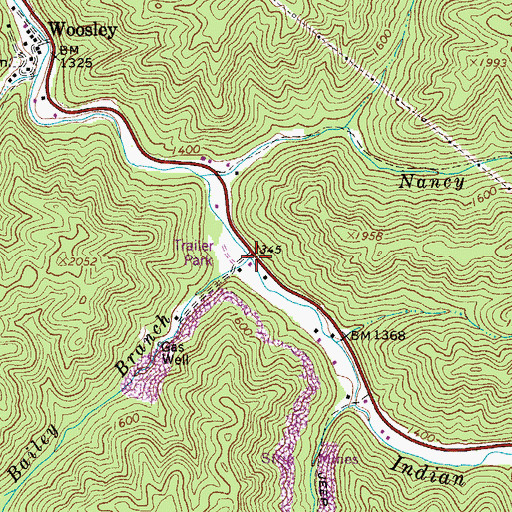 Topographic Map of Bailey Branch, WV