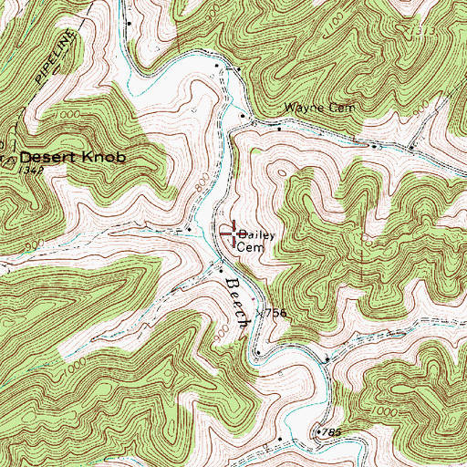 Topographic Map of Bailey Cemetery, WV