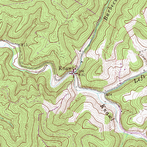 Topographic Map of Barbecue Run, WV