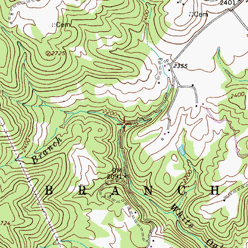 Topographic Map of Basham Branch, WV