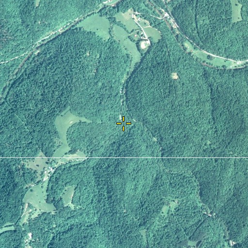 Aerial/Satellite Image of Bat Run, WV