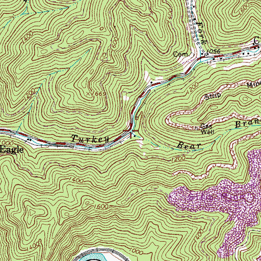 Topographic Map of Bear Branch, WV