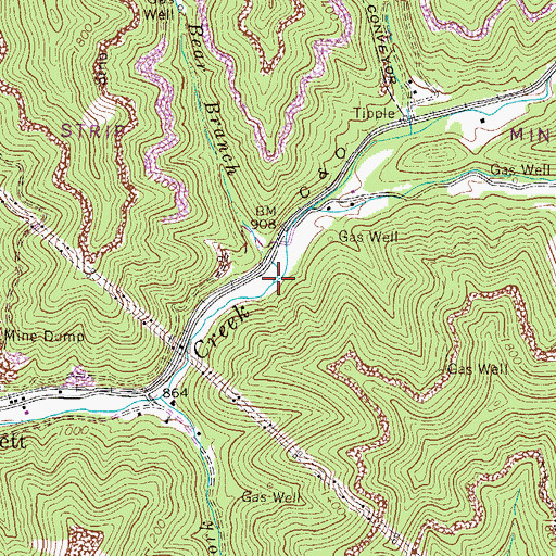 Topographic Map of Bear Branch, WV