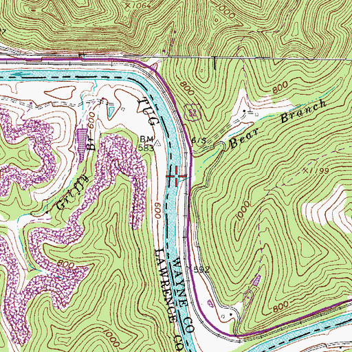 Topographic Map of Bear Branch, WV