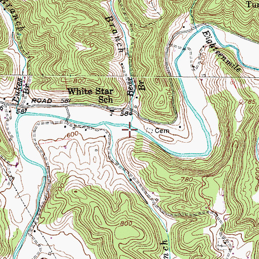 Topographic Map of Bear Branch, WV