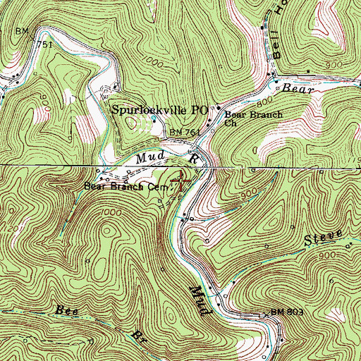 Topographic Map of Bear Branch Cemetery, WV