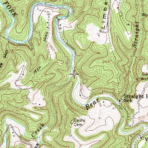 Topographic Map of Bear Fork, WV