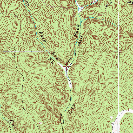 Topographic Map of Bear Fork, WV