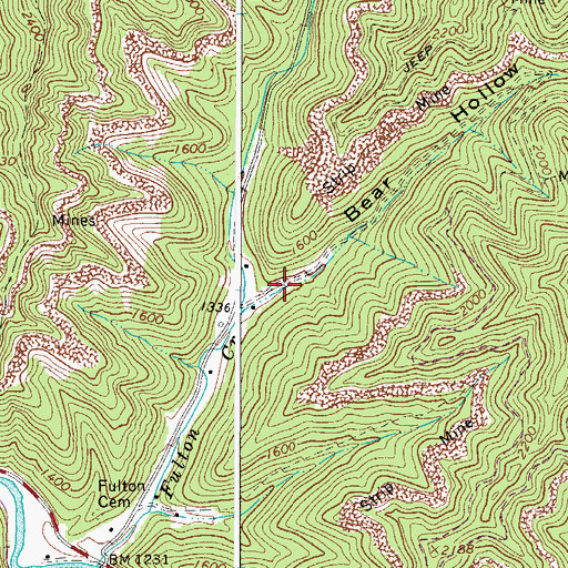 Topographic Map of Bear Hollow, WV