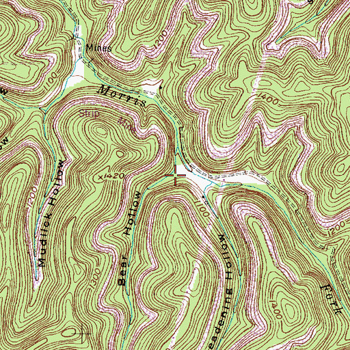 Topographic Map of Bear Hollow, WV