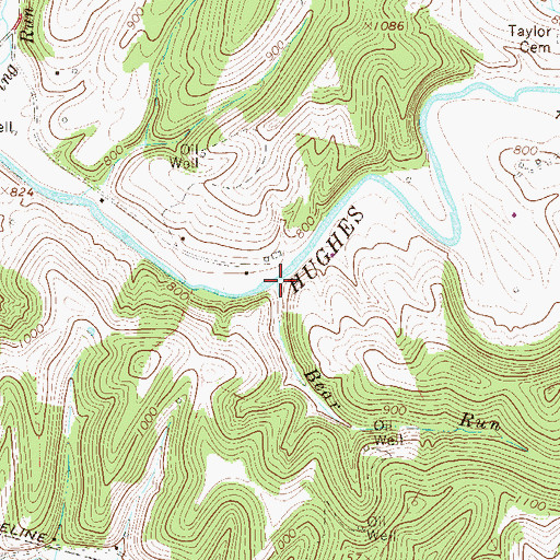 Topographic Map of Bear Run, WV