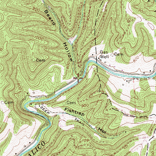 Topographic Map of Beard Hollow, WV