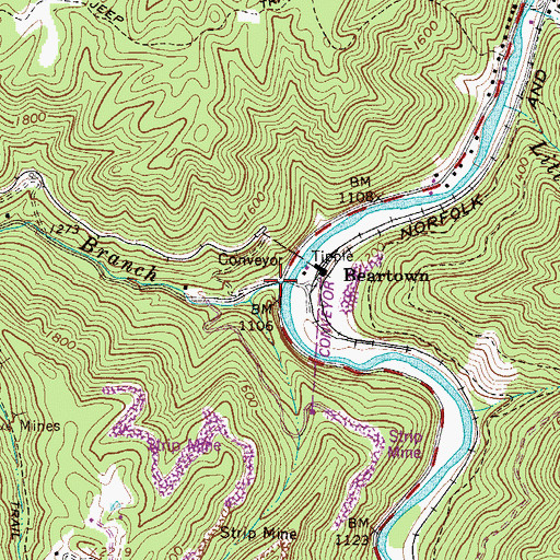Topographic Map of Beartown Branch, WV