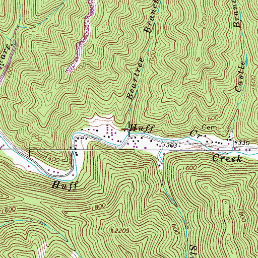 Topographic Map of Beartree Branch, WV