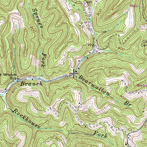 Topographic Map of Bearwallow Branch, WV