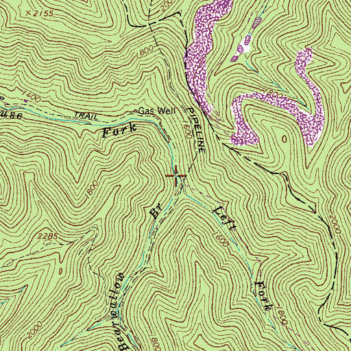 Topographic Map of Bearwallow Branch, WV