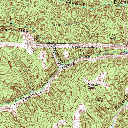 Topographic Map of Bearwallow Branch, WV